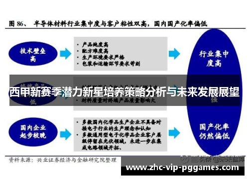 西甲新赛季潜力新星培养策略分析与未来发展展望 西甲新赛季潜力新星培养策略分析与未来发展展望