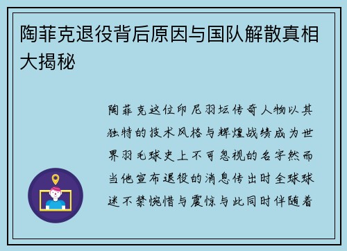 陶菲克退役背后原因与国队解散真相大揭秘 陶菲克退役背后原因与国队解散真相大揭秘