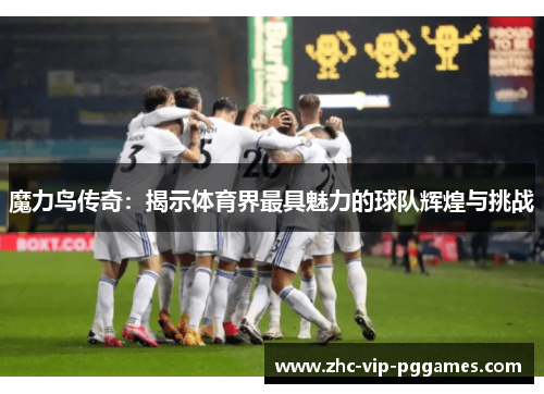 魔力鸟传奇:揭示体育界最具魅力的球队辉煌与挑战 魔力鸟传奇:揭示体育界最具魅力的球队辉煌与挑战